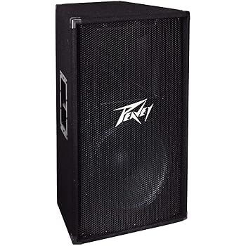 peavey dj system