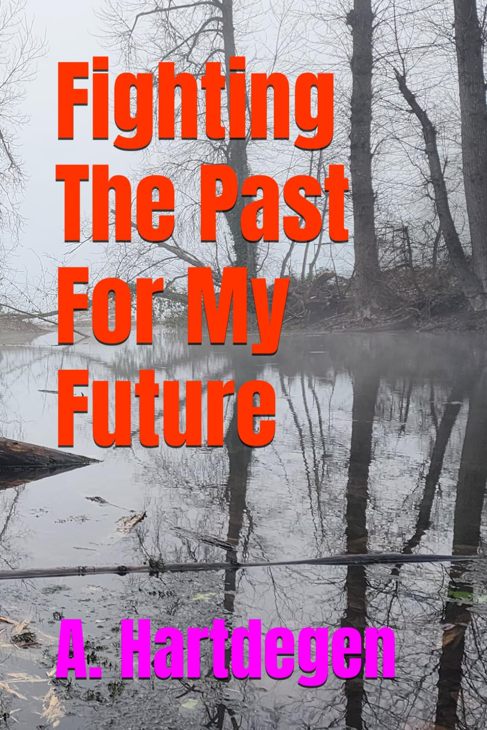 Fighting The Past For My Future