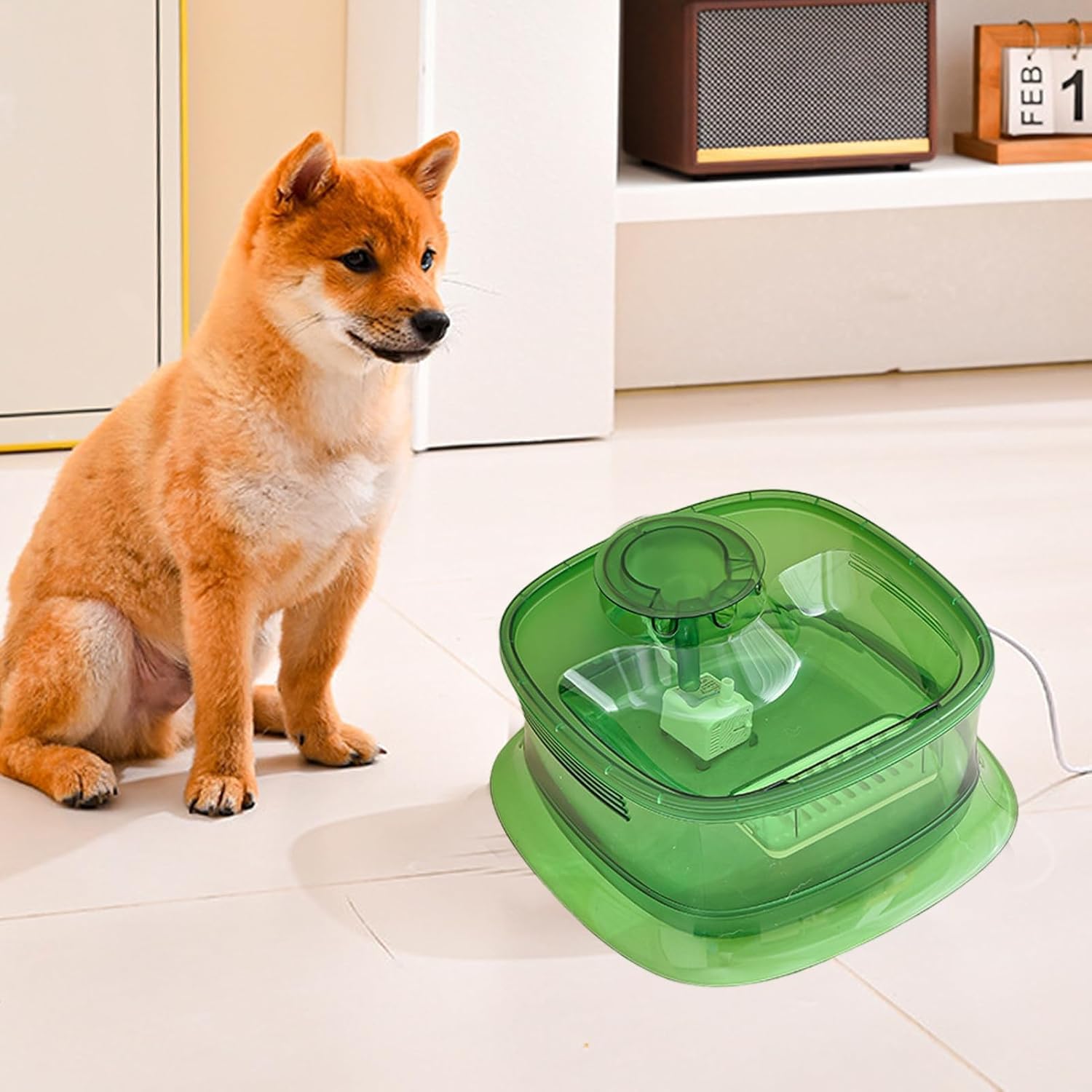 Dog Water Fountain, 5L Large Automatic Pet Water Dispenser Cat Water Fountain with Cleaning Kit, Replacement Filter for Cat, Dogs, Multiple Pets (Green) (B0D9DCYCR5) Amazon Price History, Amazon Price Tracker