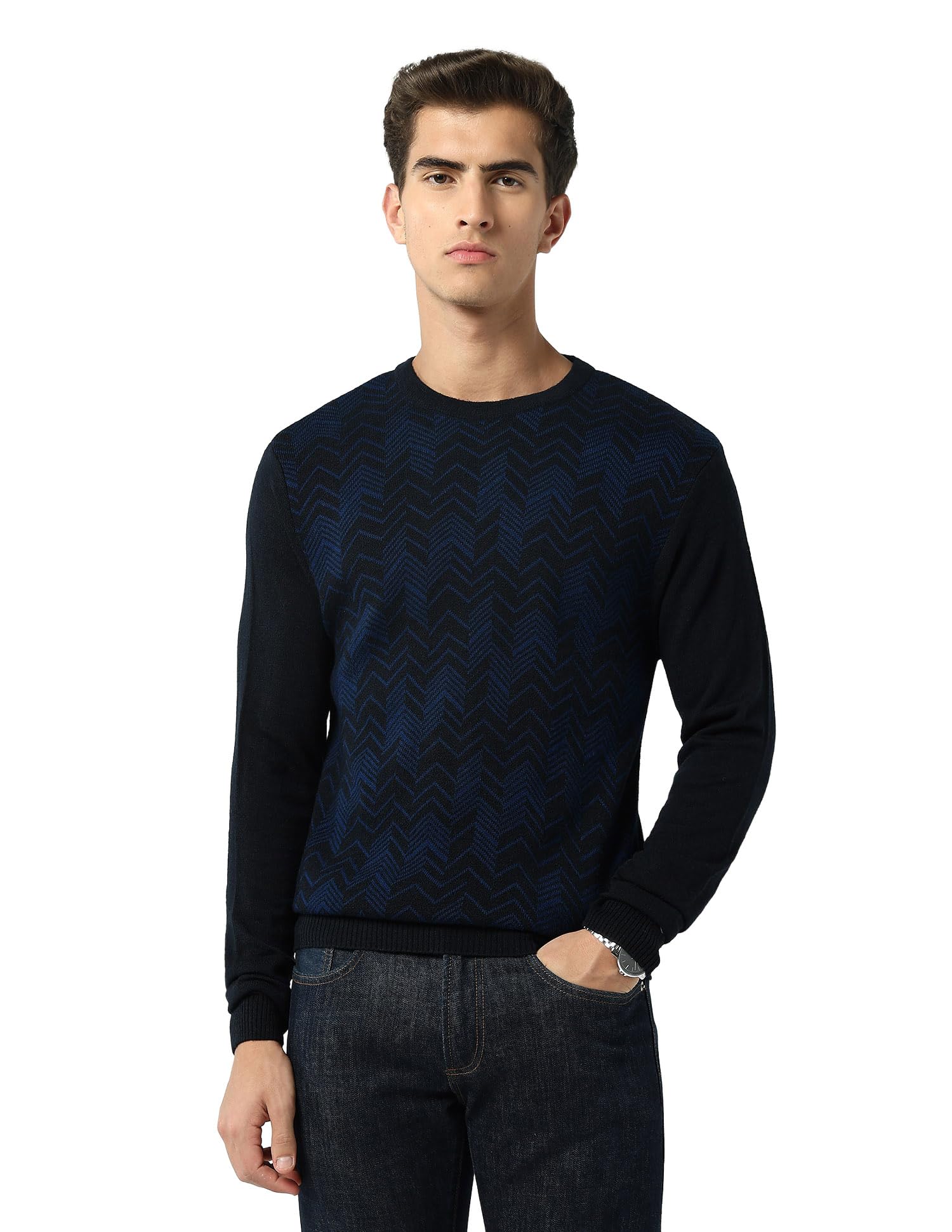 arvind Patterned Knit Regular Fit Sweater-picture-23