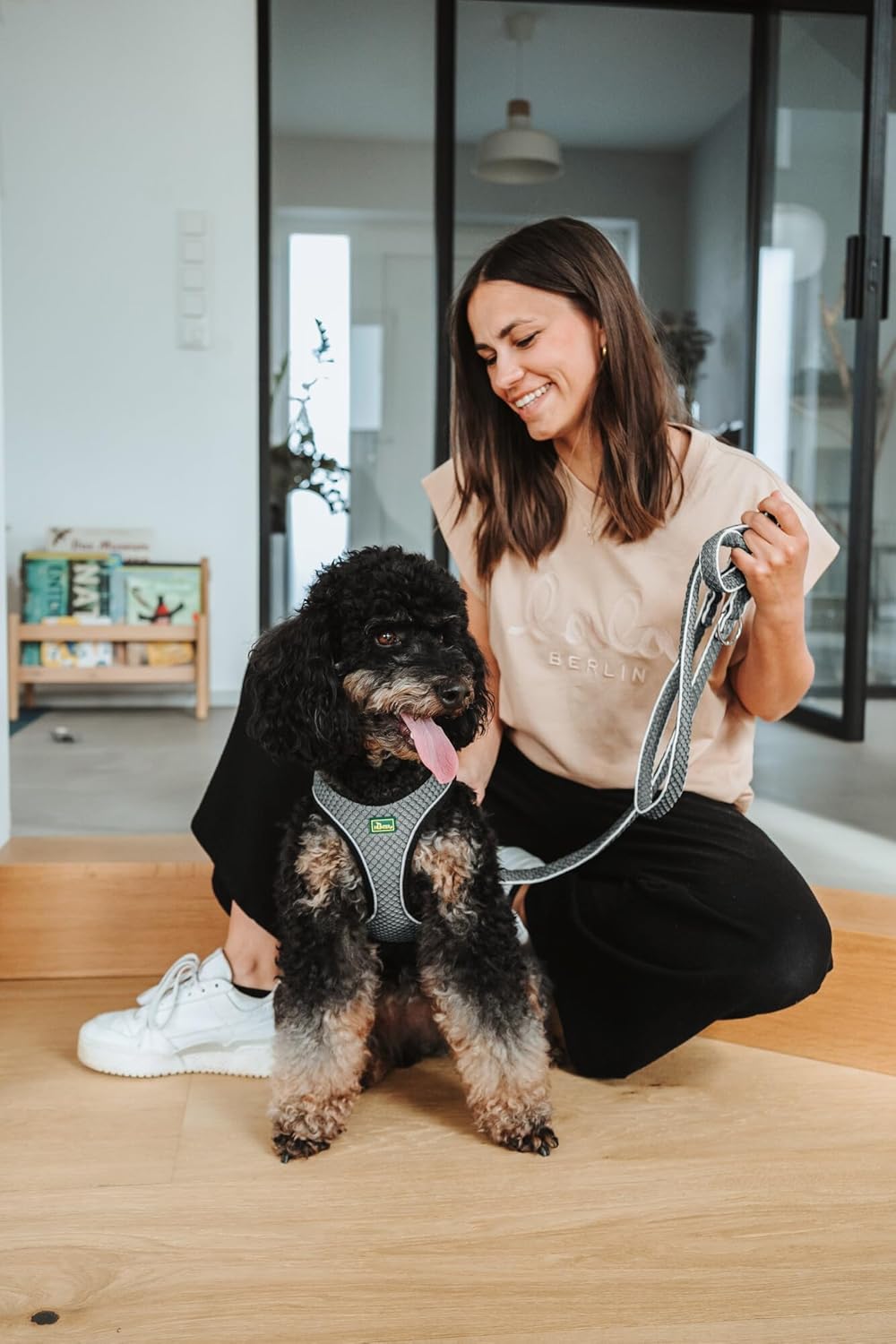 HUNTER Hilo Comfort Harness for Small Dogs, with mesh Material and Reflective Elements,Anthracite,S-M