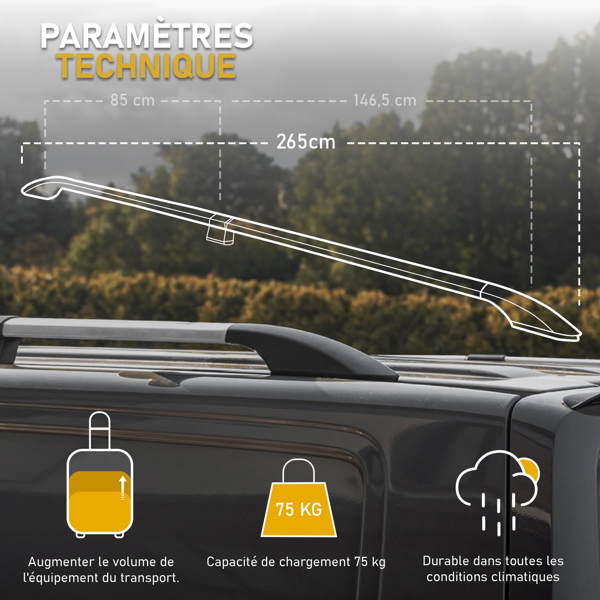 CHROMEMASTER | Compatibles avec Mercedes Vito/Viano W639 Short 2003-2014 | Les Barres de Toit | Conçus pour Le Montage de Barres de Toit, de Coffres de Toit ou de Porte-vélos | Structure en Aluminium