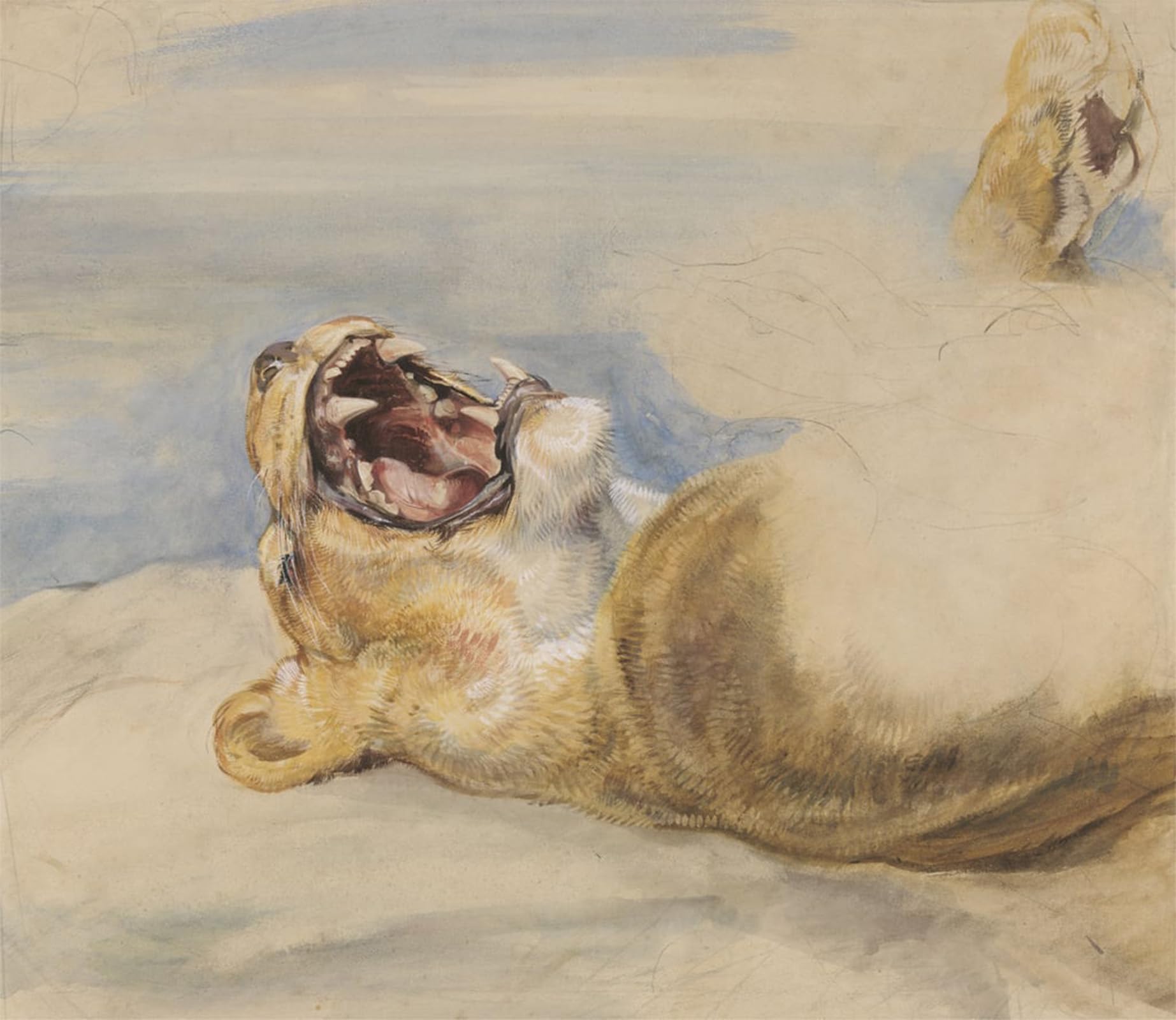 POSTERIIk Famous Print Pop Art Wall Art Graffiti Study of a Lioness by John Frederick Lewis Art Prints for Home Decor 60x90cm