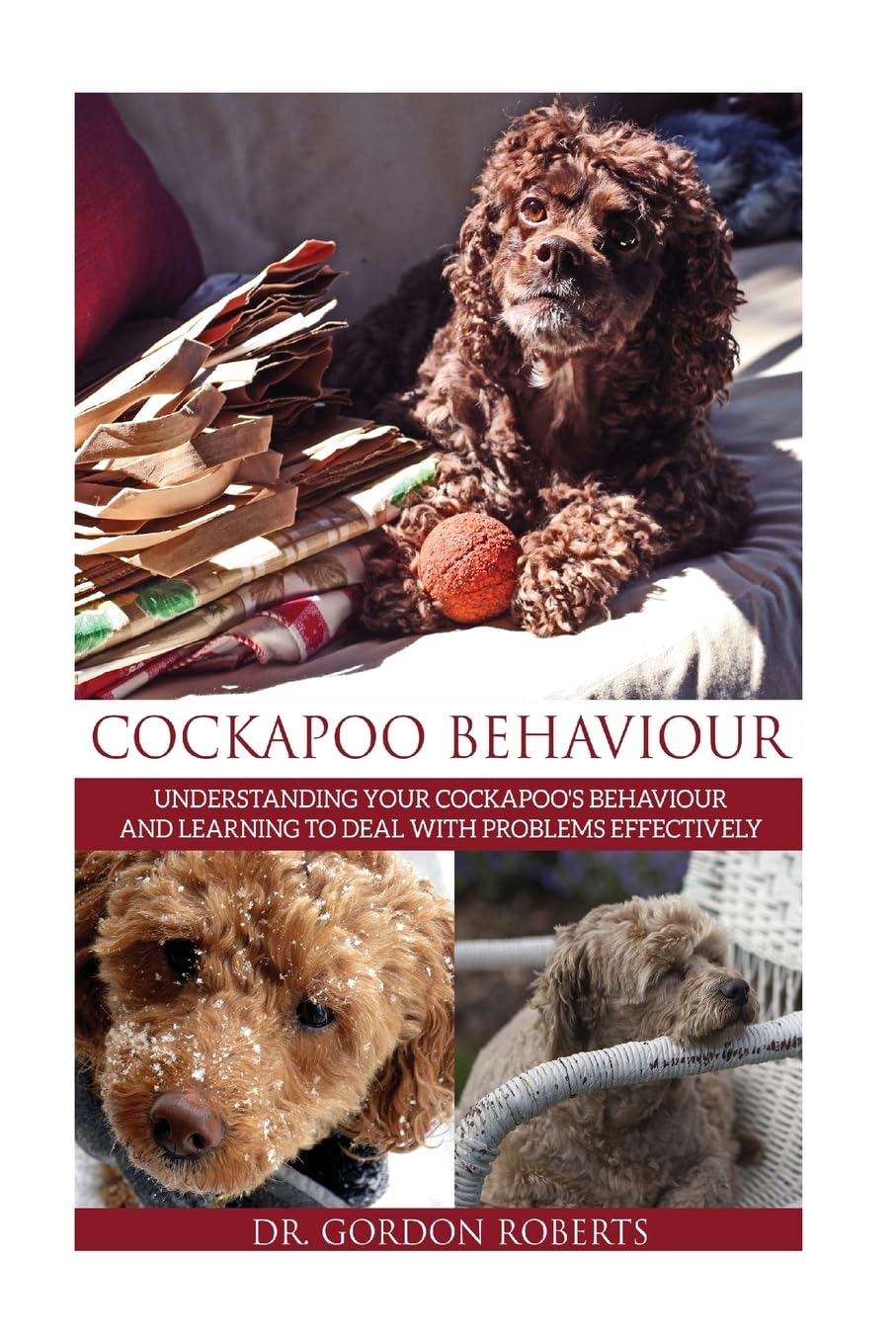 Cockapoo Behaviour: Understanding your Cockapoo’s Behaviour and Learning to Deal with Problems Effectively