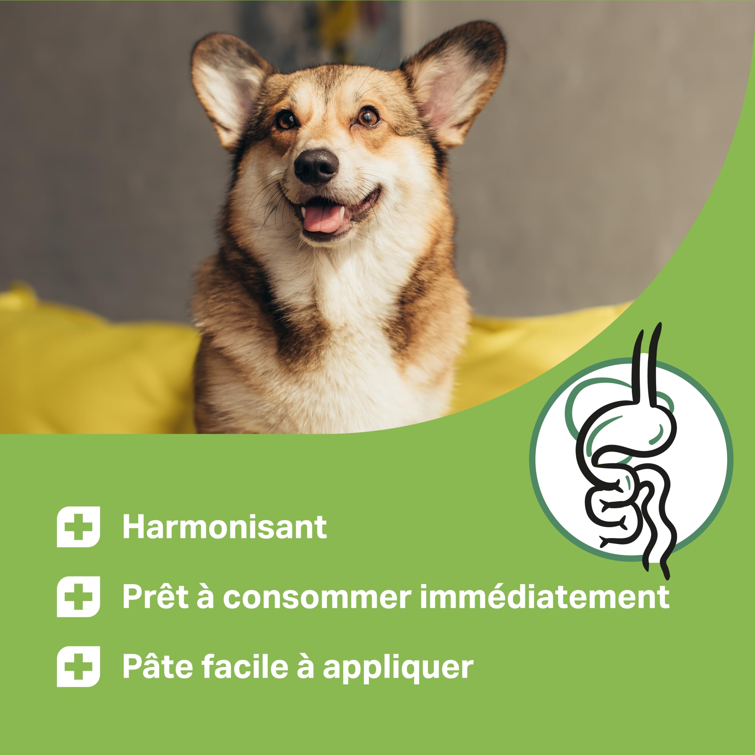 MEDIDOG Pâte d'écorce d'orme de qualité supérieure pour chien - 500 g - Prête à manger - Avec Slippery Elm Bark - Favorise une digestion saine et une consistance normale des matières fécales