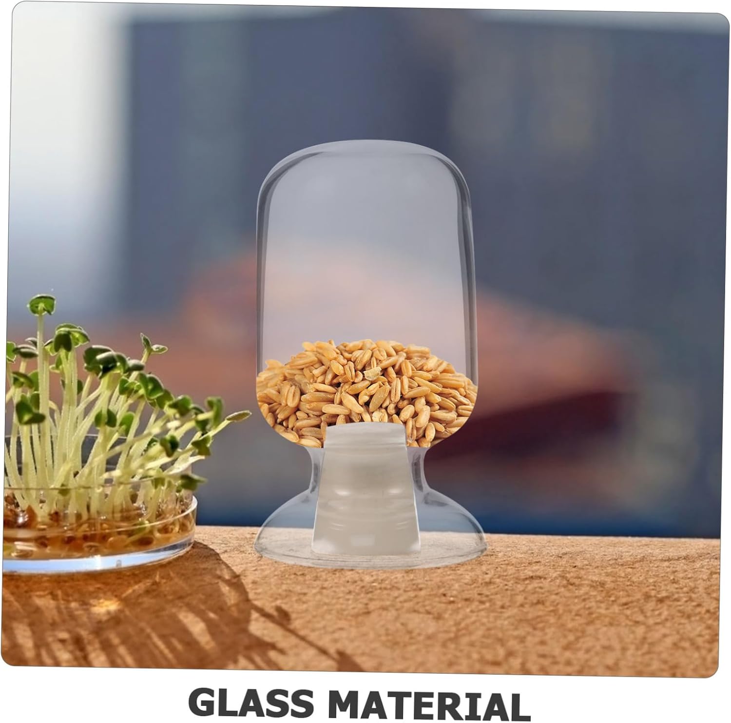 Glass Sample Storage Bottle Decorative Jar with Stopper for Laboratory Display Lightweight and for Sample Preservation and Easy Cleaning