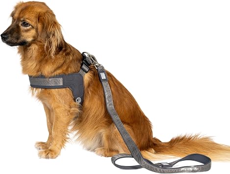 Matrix 2.0 Akıllı Künyeli Q-Fit Köpek Göğüs Tasması - Küçük ve Orta Boy Irklar için Konforlu ve Güvenli - Stone (XS)