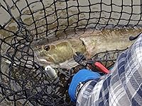 Vista 10 de Pinza CoBolt corta cadenas Knipex Tools 71 01 250 de cobalto compacto, de 10 pulgadas.