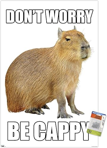 Trends International Capybara - Póster de pared Be Cappy, 22.37 x 34.00 pulgadas, paquete de póster y alfiler