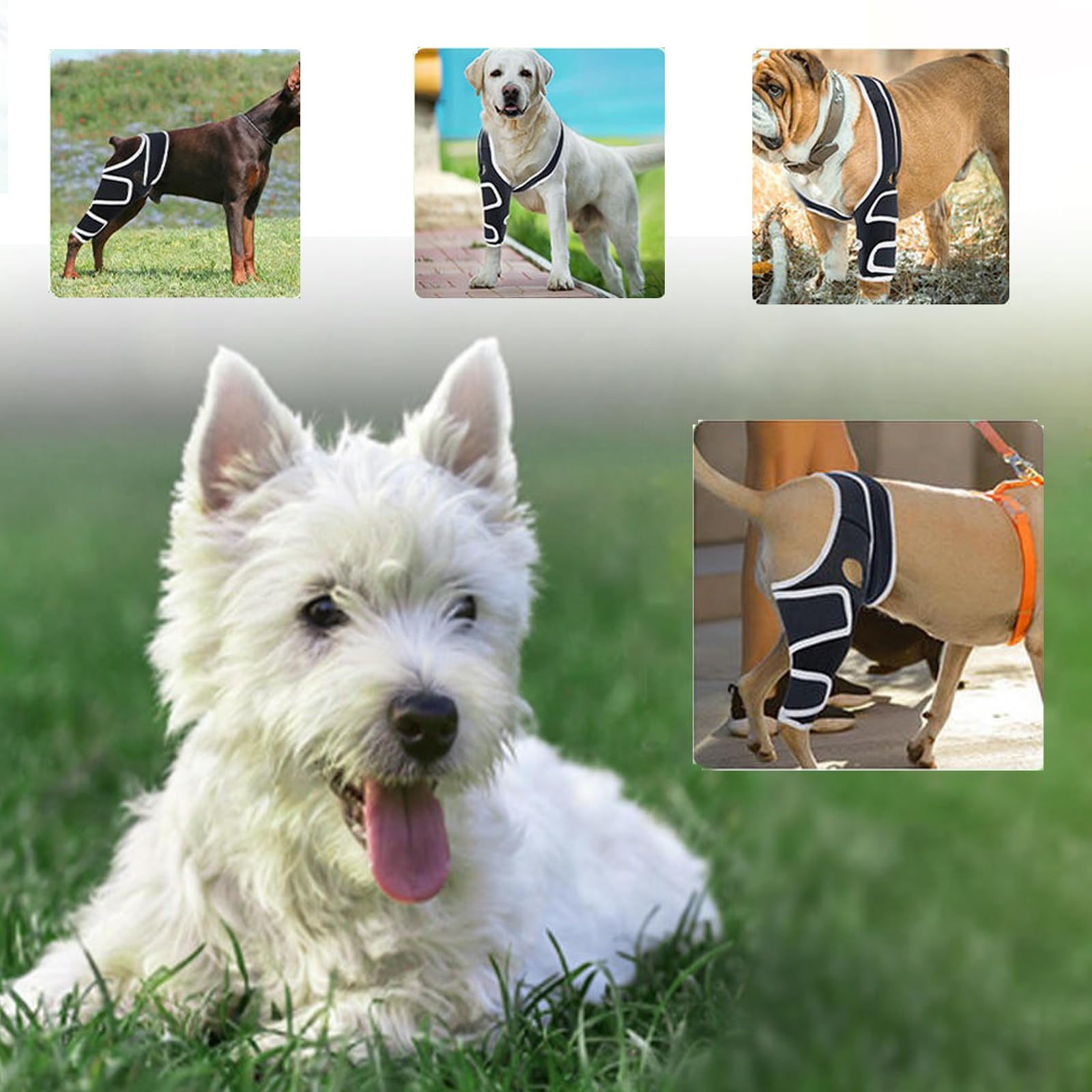Hunde-Schulterbandage - Atmungsaktive und abriebfeste Ellbogenschützer für Hunde, verhindert Lecken und bietet Unterstützung