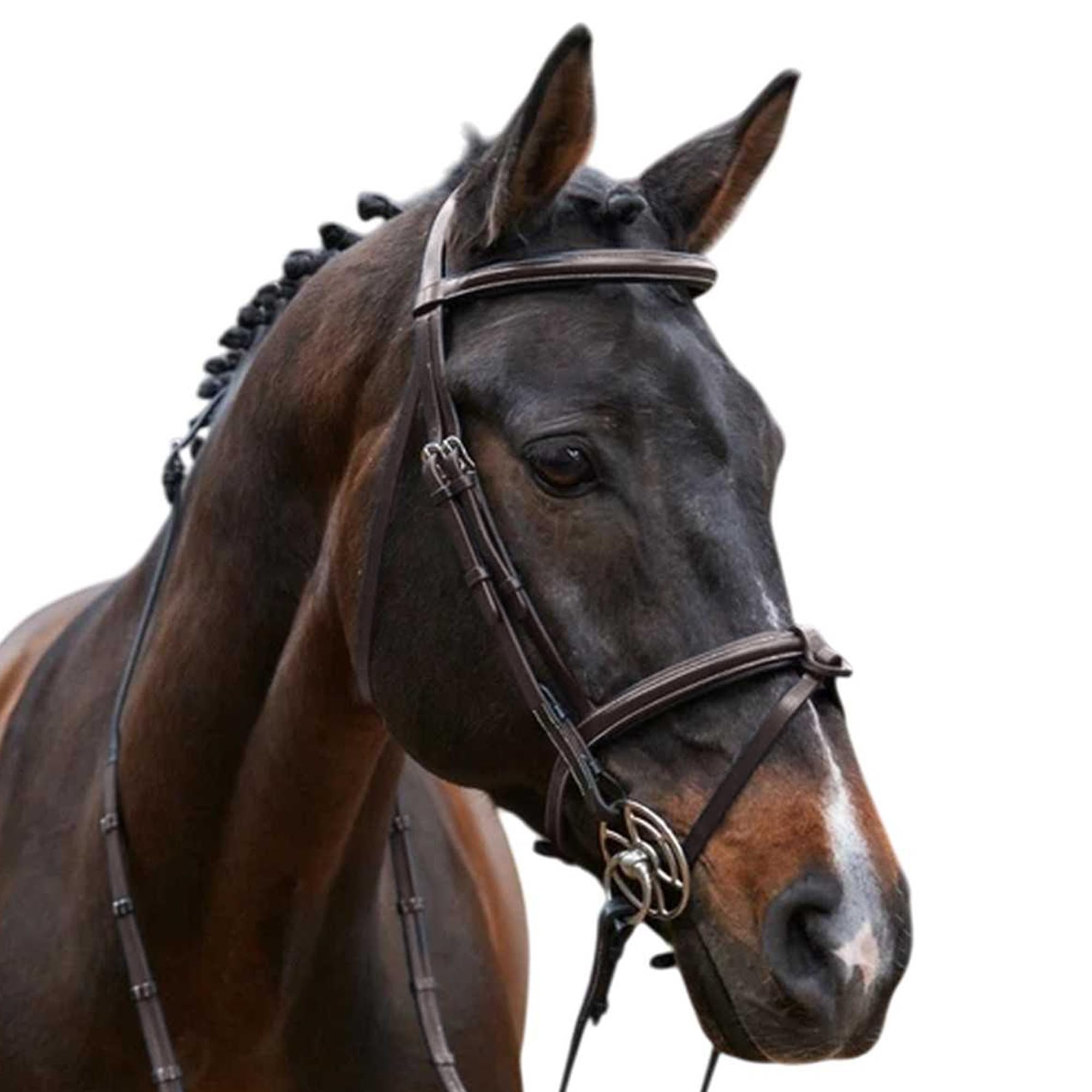 Whitaker WhitakerEastwood Pelle Briglia per Cavalli con Redini
