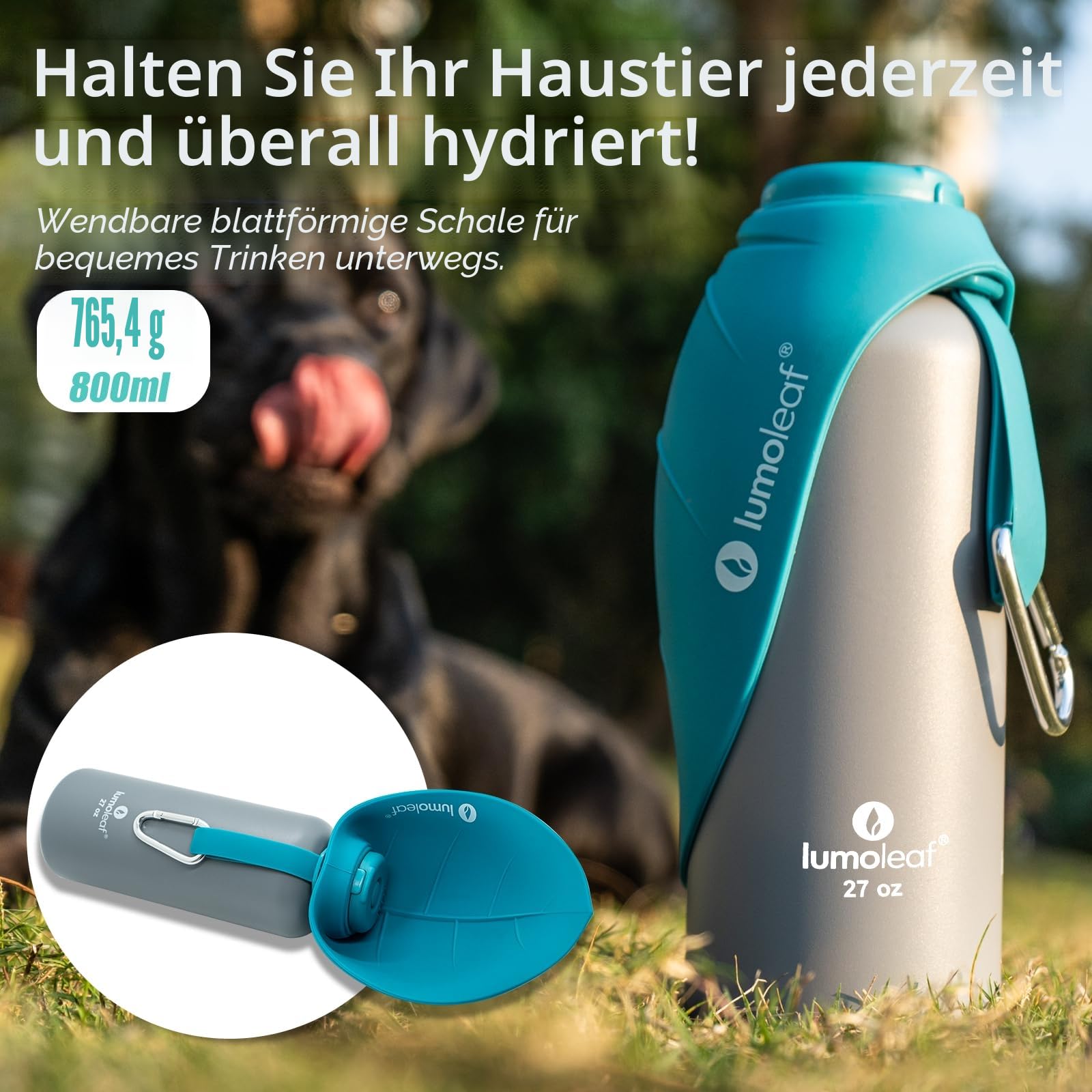 LumoLeaf Isolierte Edelstahl-Wasserflasche für Hunde, 800 ml – Hält Wasser stundenlang kühl oder warm, Langlebig & Tragbar für Reisen, Breite Öffnung für Einfaches Befüllen & Reinigen (Bleu, 800 ml)