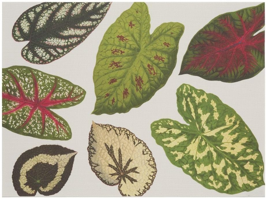 Martha by Martha Stewart | Chilewich Scattered Leaf Placemat - Set of 4 - Easy Care Woven Tabletop Textile - Indoor/Outdoor - 18.5" x 13.5" Rectangle