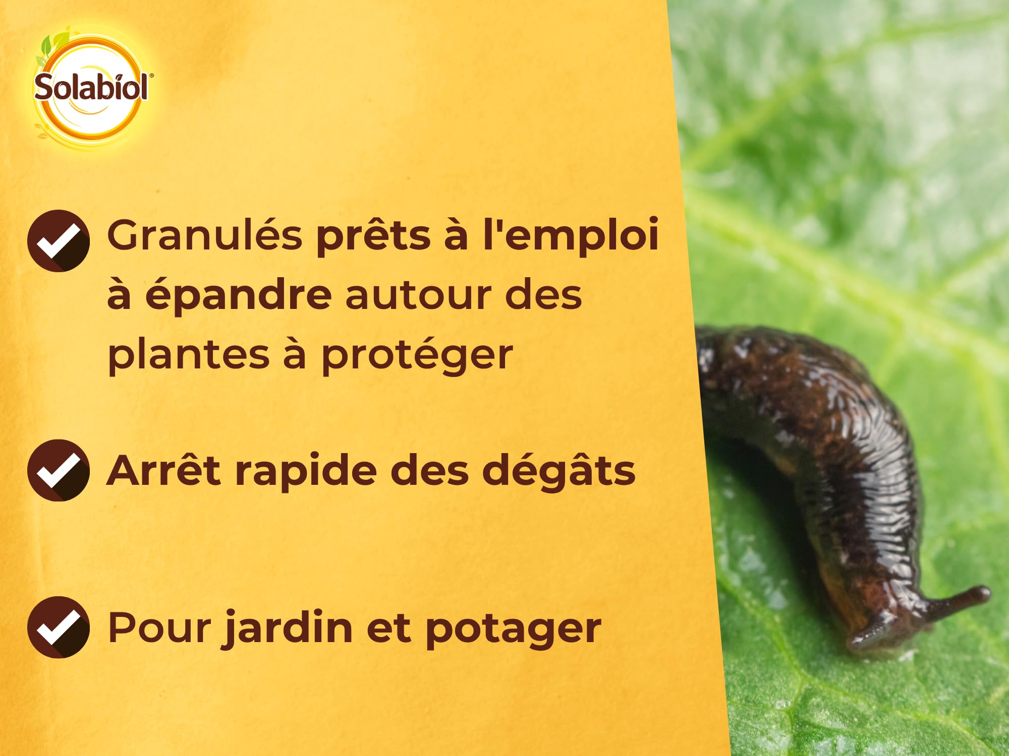 Solabiol Anti-Limaces & Escargots - 2 Kg - Granulés – Jusqu’à 525m² - Résistant À La Pluie - Prêt À l'emploi - Utilisable en Agriculture Biologique SOLIMA2