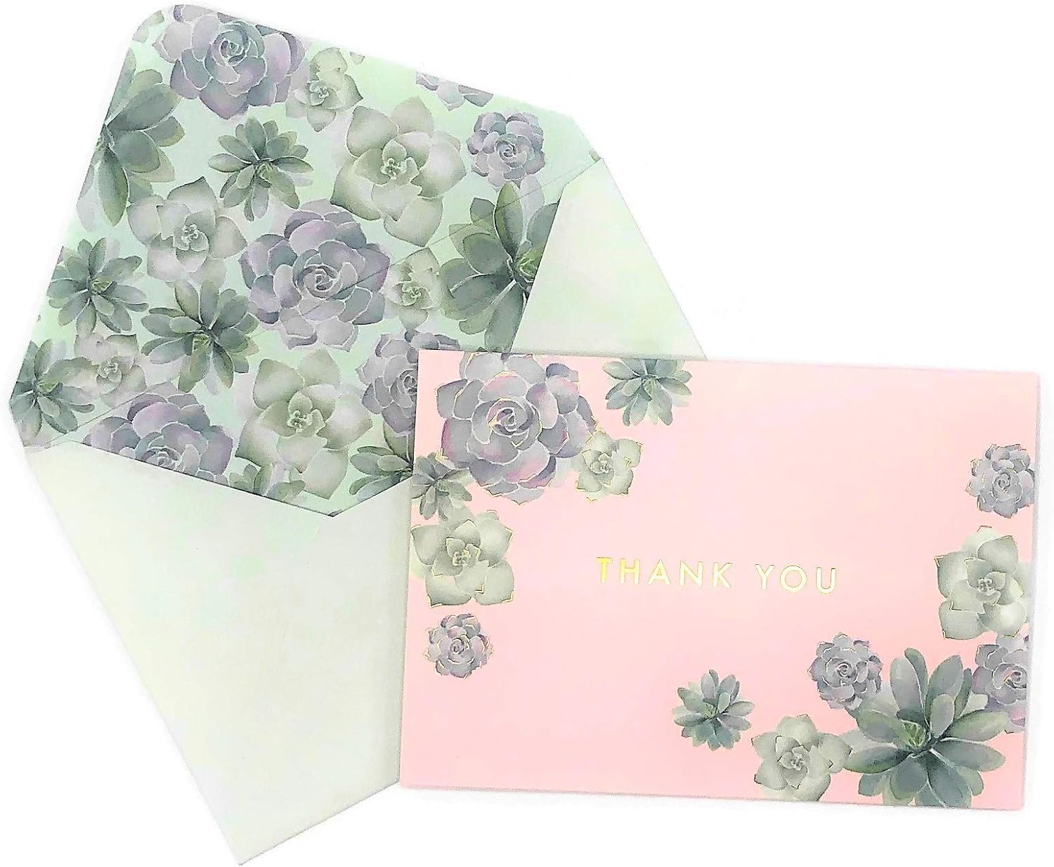 Lady Jayne Succulent Thank You Notes Boxed Notecard Set