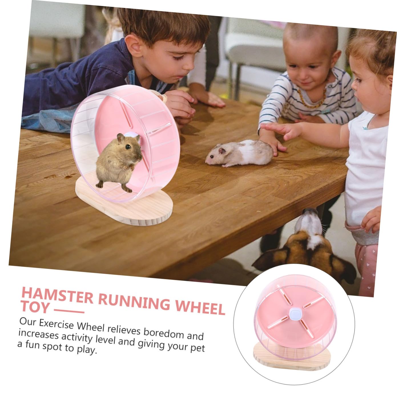 BESTonZON Roue Silencieuse pour Hamster Chinchilla Et Rat Roue Exercice Stable Au Sol Accessoire pour Cage à Petits Animaux