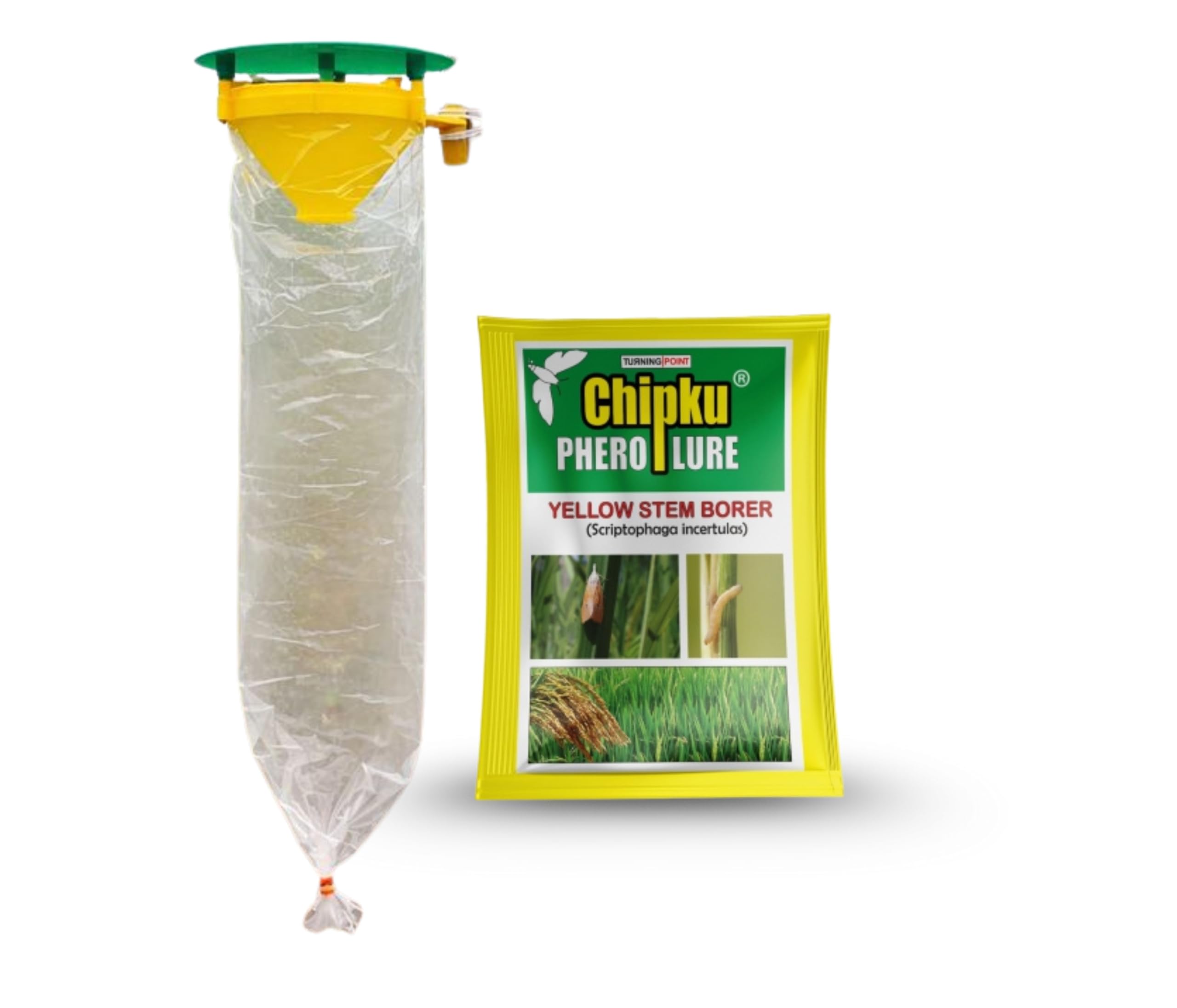 Chipku- Pheromone Trap Funnel with Scriptophaga incertulas for Catch Insect/Moth Yellow Rice stem Borer (YSB) (Scriptophaga incertulas) (10)-image-45