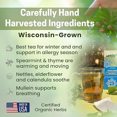 Vista 14 de Four Elements 4E Té Minus Sinus, mezclado deliciosamente con menta verde, gordolobo y tomillo, certificado orgánico y un té de hierbas sin cafeína a