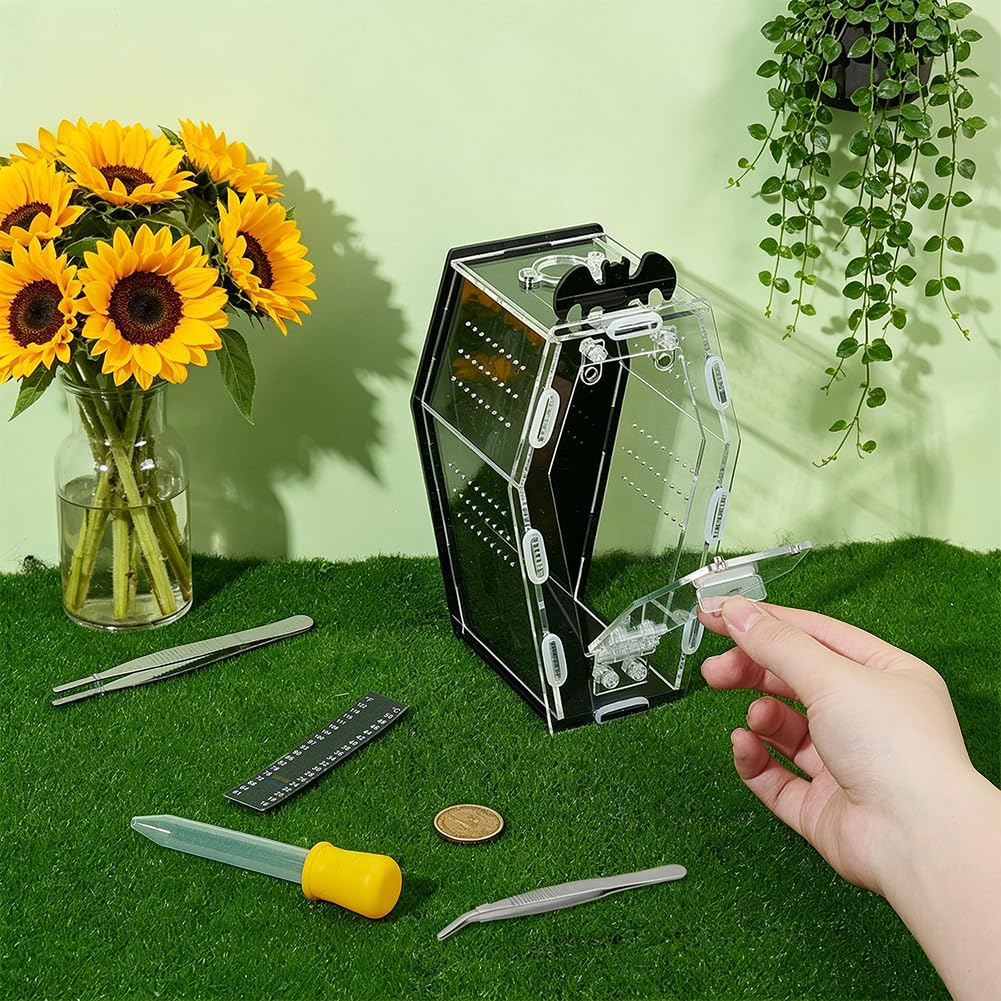 OLYCRAFT Hábitat Acrílico Para Arañas Saltadoras Con Kit De Alimentación Y Cuidado Recinto En Forma De Ataúd Para Tarántulas, Lagartos Y Mantívoras Con Puerta Frontal Abatible