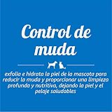 Ver la foto 6