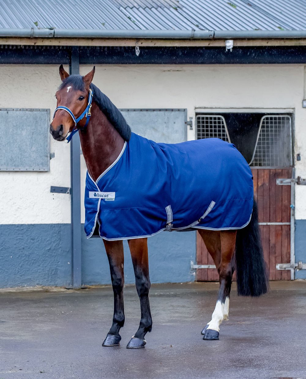 Bucas Freedom Stable Extra 300g - navy