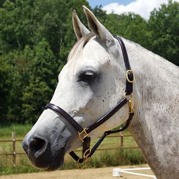 Country Pride Quiet Creek Double Stitched Refined Premium Leather Halter