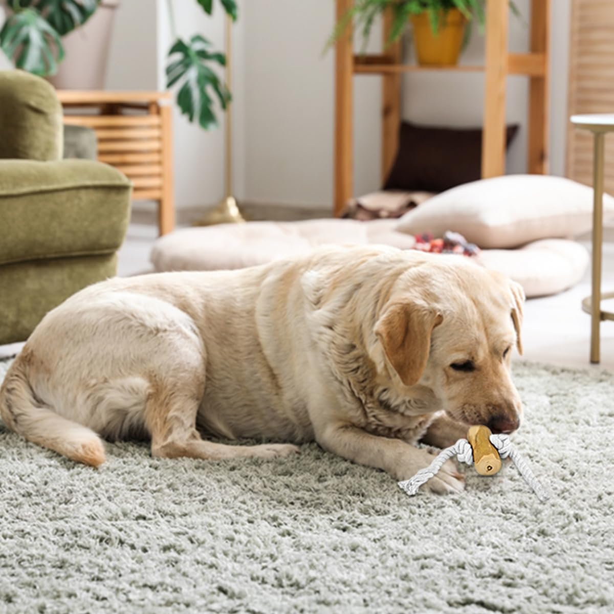 Fuzzl Coffee Stix & Rope Chew Toy - Coffee Wood Throw and Fetch Tough Dog and Puppy Toy, Natural - Image 4