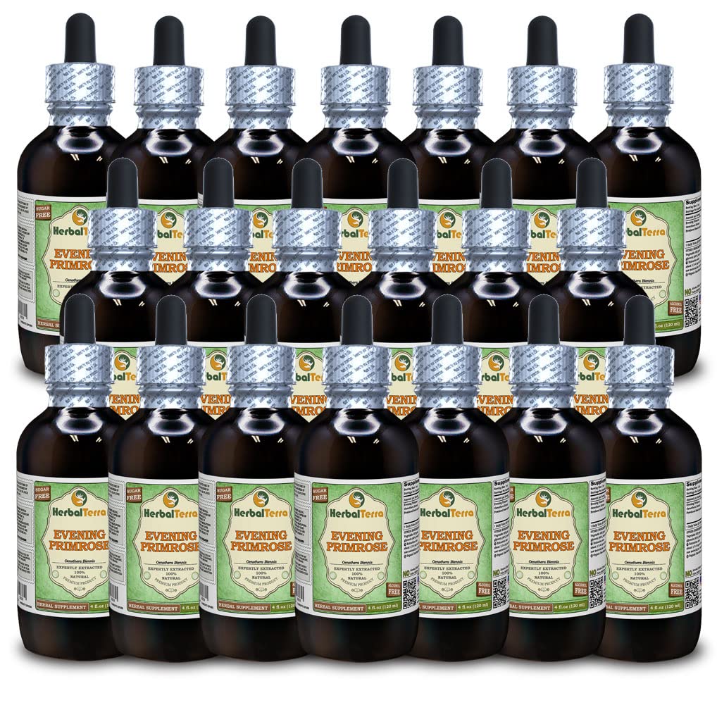 Evening Primrose (Oenothera Biennis) Glycerite, Dried Seeds Alcohol-Free Liquid Extract (Brand Name: HerbalTerra) 20x4 fl.oz (20x120 ml)