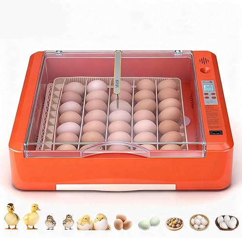 Miniatura 16 de VEVOR Incubadora de 12 huevos, girador automático de huevos con vela LED, control de temperatura y humedad, ventana transparente de visión de 360°