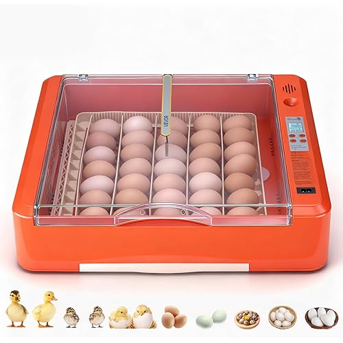 VEVOR 36 Egg Incubator, Automatic Egg Turner with LED Candler & Water Tray, Temperature & Humidity Control, 360° View Clear Window, Poultry Eggs Incubators for Hatching Chicks Ducks Goose Quails