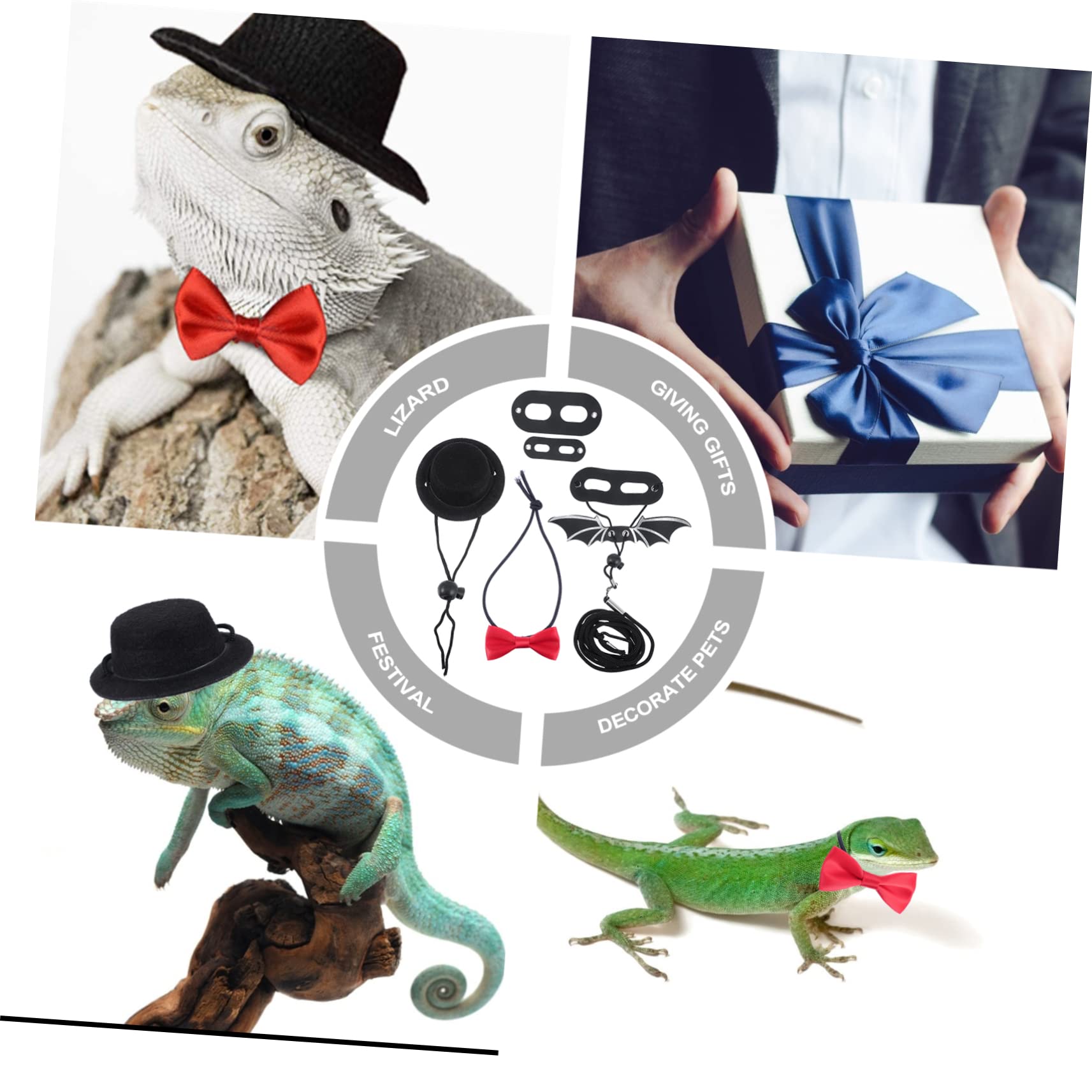 DOITOOL 3sets Costume Per Lucertole Con Cappello e Per Accessori Per Rettili Comfortevoli e Leggeri Per Feste e Occasioni Speciali
