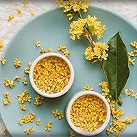 Vista 6 de CHUXAY GARDEN 15 semillas Osmanthus Fragrans 'Conger Yellow', oliva fragante, té de oliva fragante, arbusto de hoja perenne de olivo dulce, planta