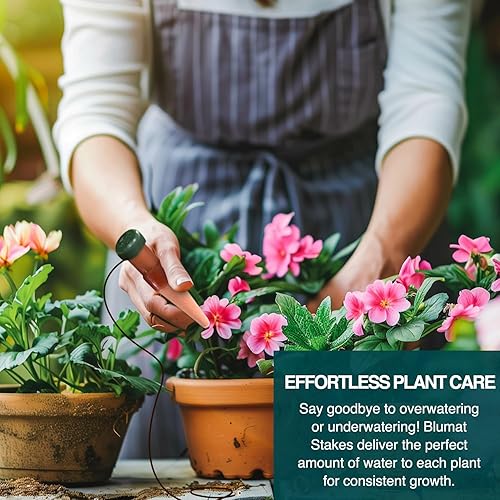 Miniatura 8 de Blumat Estacas clásicas para riego de plantas, inserto de maceta de riego automático para macetas, riego automático de plantas y accesorios para