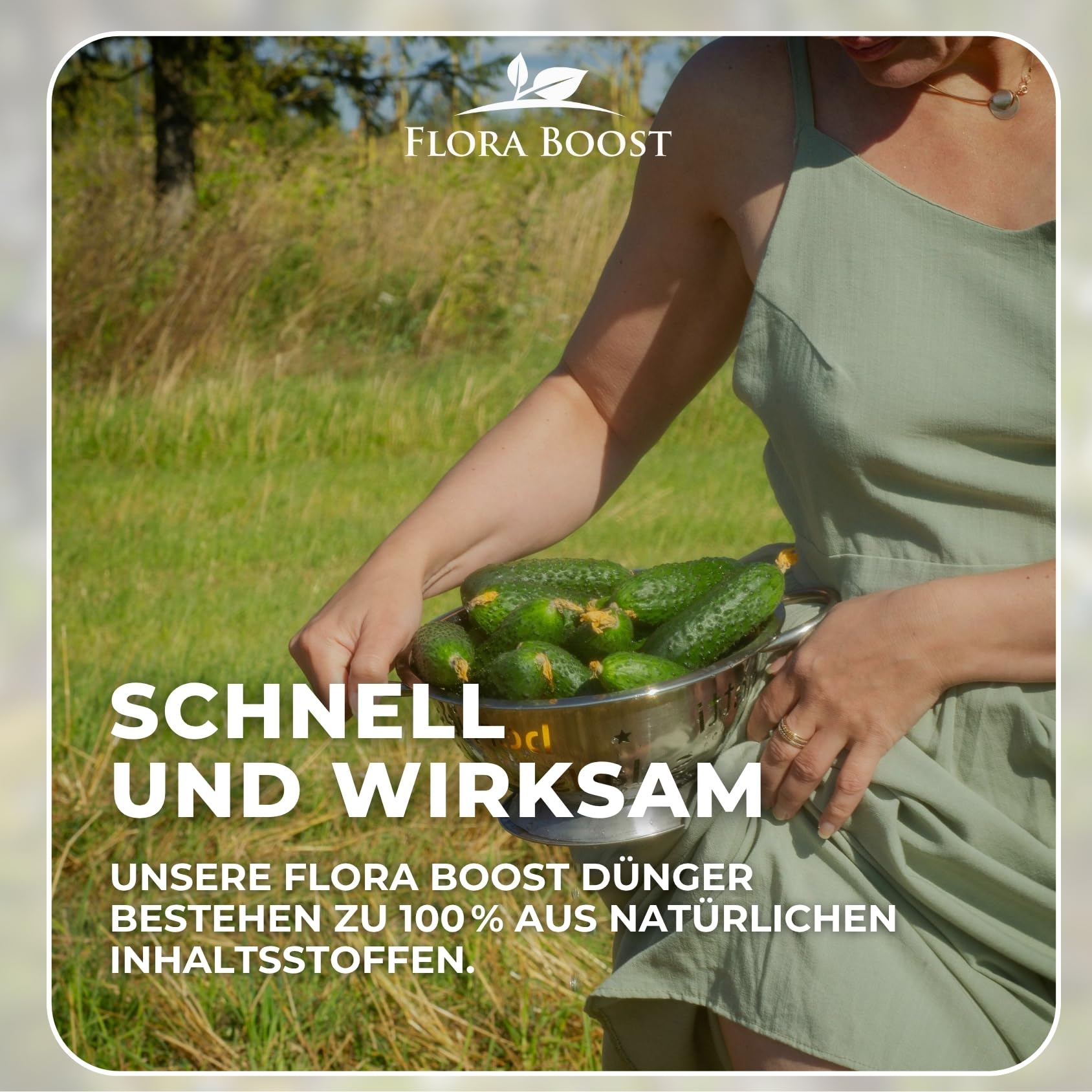 Flora Boost Gurken Zucchini Dünger Flora Boost 5000ml I Für bis zu 1000L Gießwasser I Gemüsedünger für Gurken & Zucchini I Flüssiger Blatt- & Wurzeldünger I 100% natürlicher Pflanzendünger