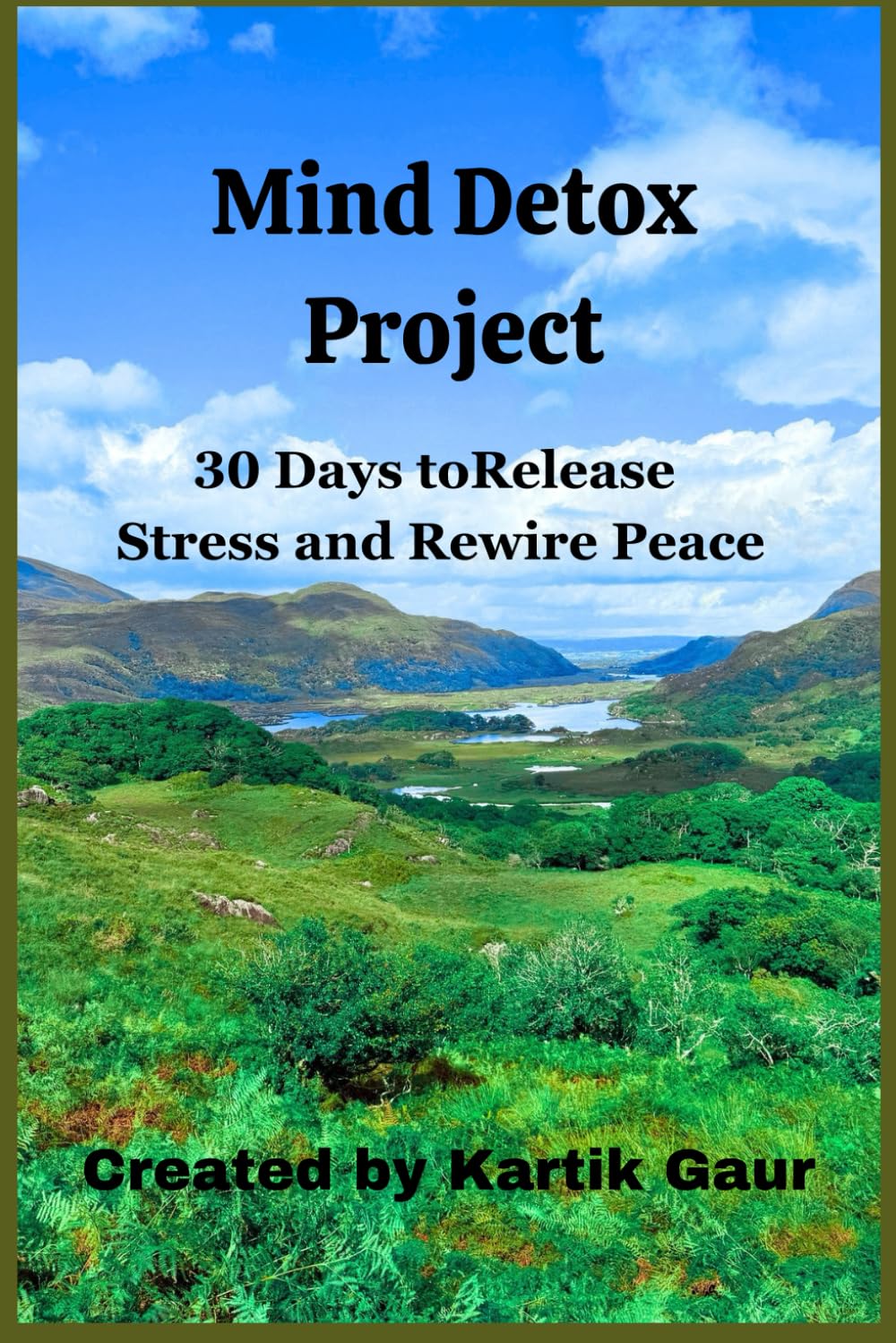 Mind Detox Project: 30 Days to Release Stress and Rewire Peace
