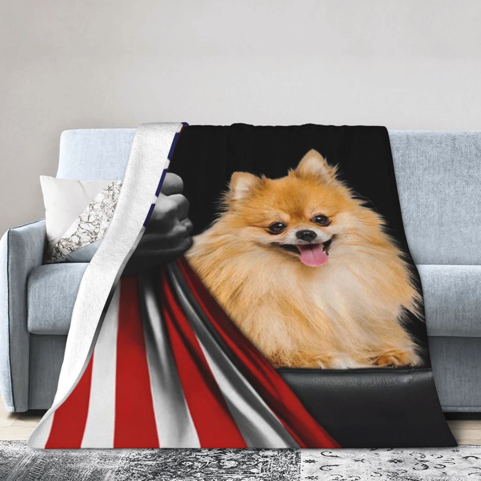 Lsjuee Christmas Flannel Fleece Blanket 80"X60" Lovely Pomeranian American Bed Throw Blanket Lightweight Ultra-Soft Travel Winter Blankets for Boys Keep Warm