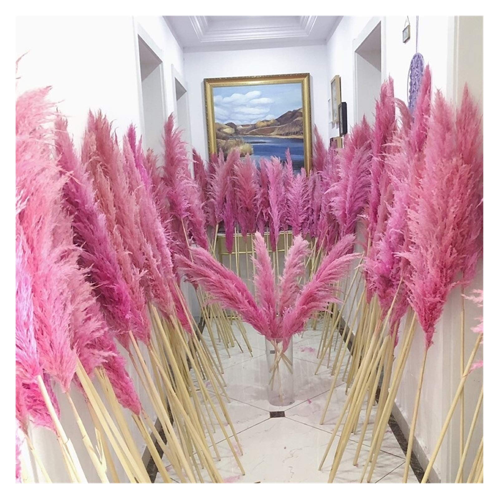 Pampasgras Deko 80cm Natürliches Schilfgetrocknet Getrocknete große Pampas Gras Bouquet DIY Hochzeit Blumenzeremonie Dekoration Modernes Wohnkultur Trockenblumen