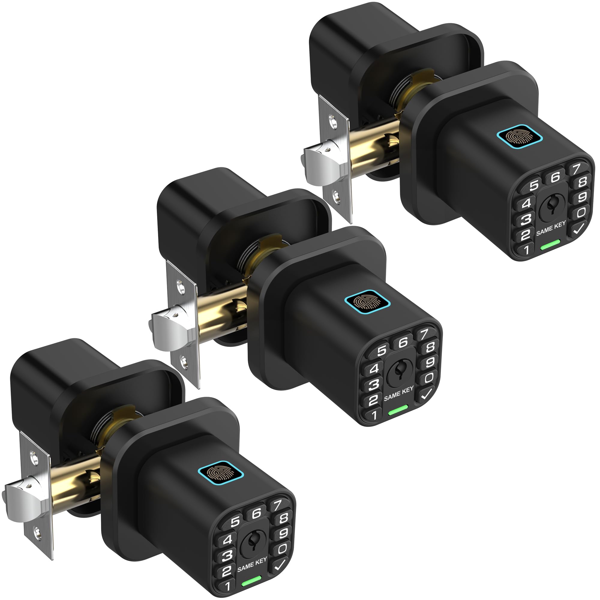 Richelock Fingerprint Door knob, Smart Biometric Door Lock with Keypad, Keyless Entry Code Door Knob, Waterproof & Weatherproof, Auto Lock,Voice