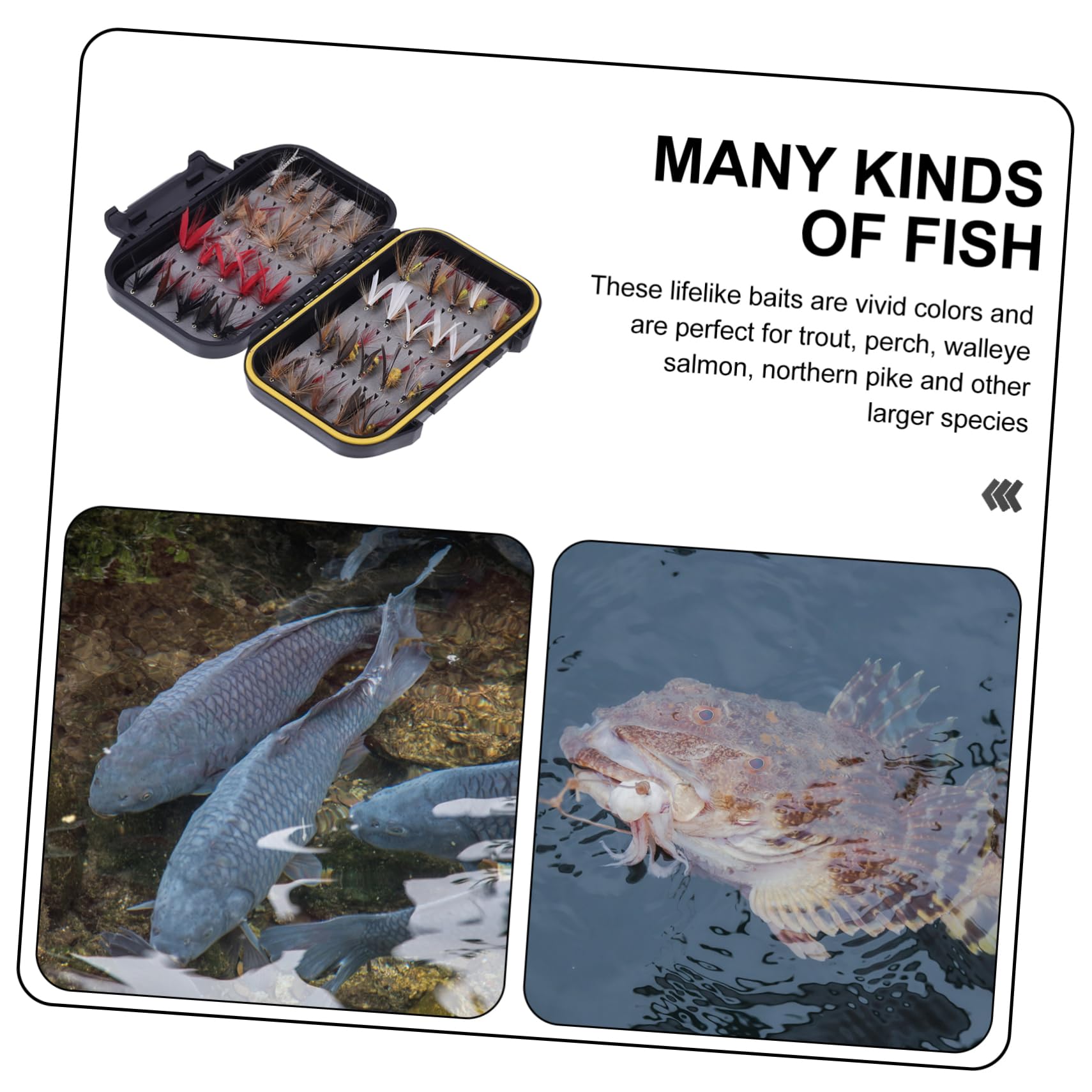 Amo da Pesca Artificiale Bionico 40 Pezzi in Abs Metallo | Piume, Colori Vividi e Aspetto Realistico, per Acqua Dolci e Salate, per Pescatori Esperti