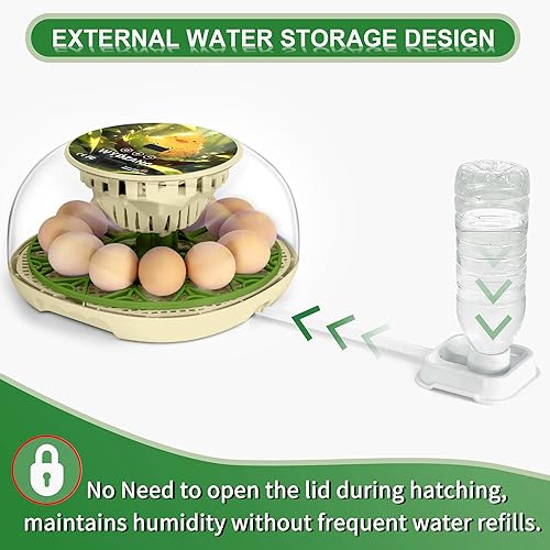 Miniatura 4 de WYD2ANG Incubadoras inteligentes de pollo para incubar huevos con volteador automático, aves, pato, codorniz, incubadora de 12 huevos, pantalla de