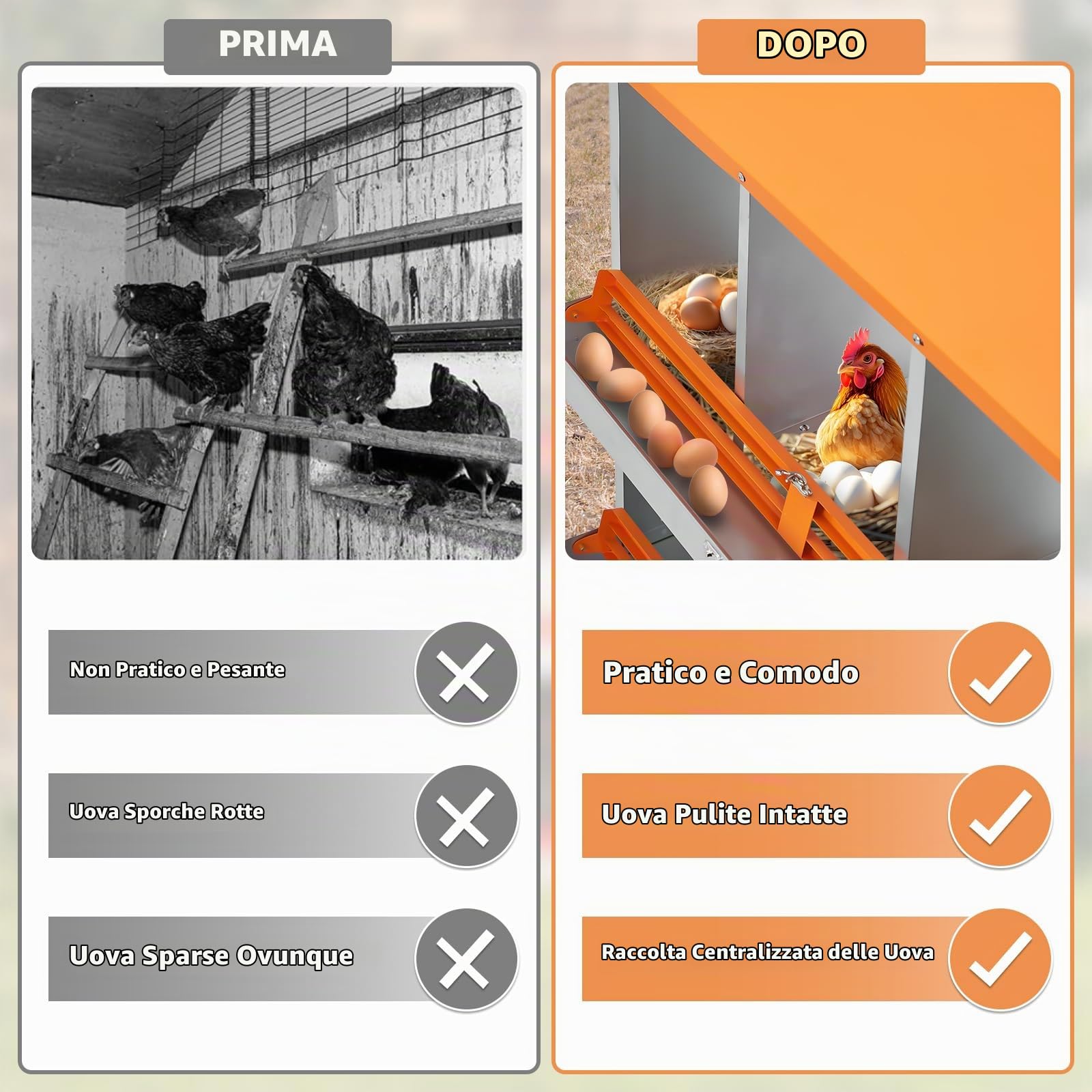 Gabbia professionale per galline ovaiole – 8 scomparti, metallo a doppio strato, ampia ventilazione, trespolo integrato, facile raccolta delle uova – Colore arancione ruggine, doppio strato 8