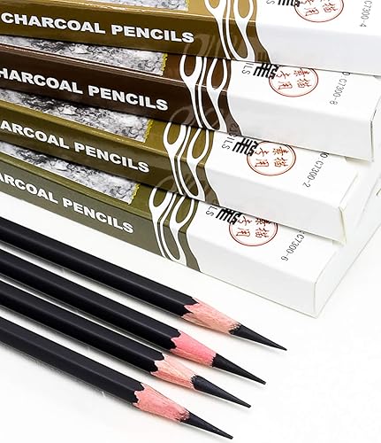 Miniatura 2 de YYMIYU Lápiz de pintura de carbón Lápices de dibujo de carbón 12 piezas duro