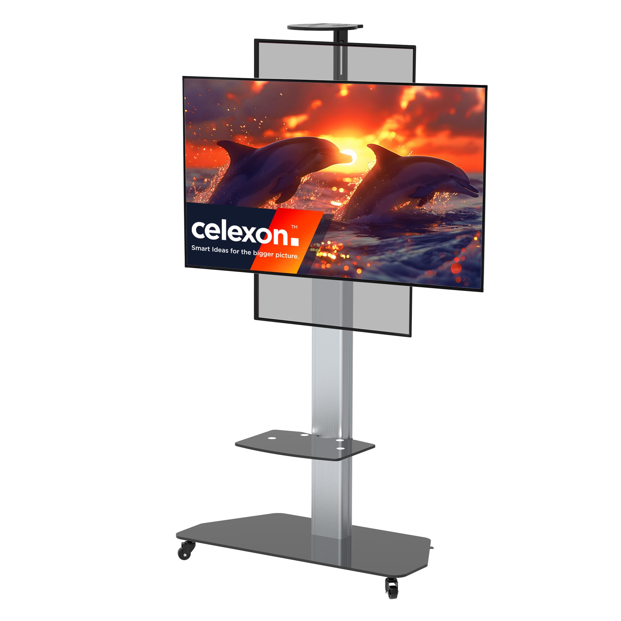 celexon Professional höhenverstellbarer Display Rollwagen Adjust-3270MP