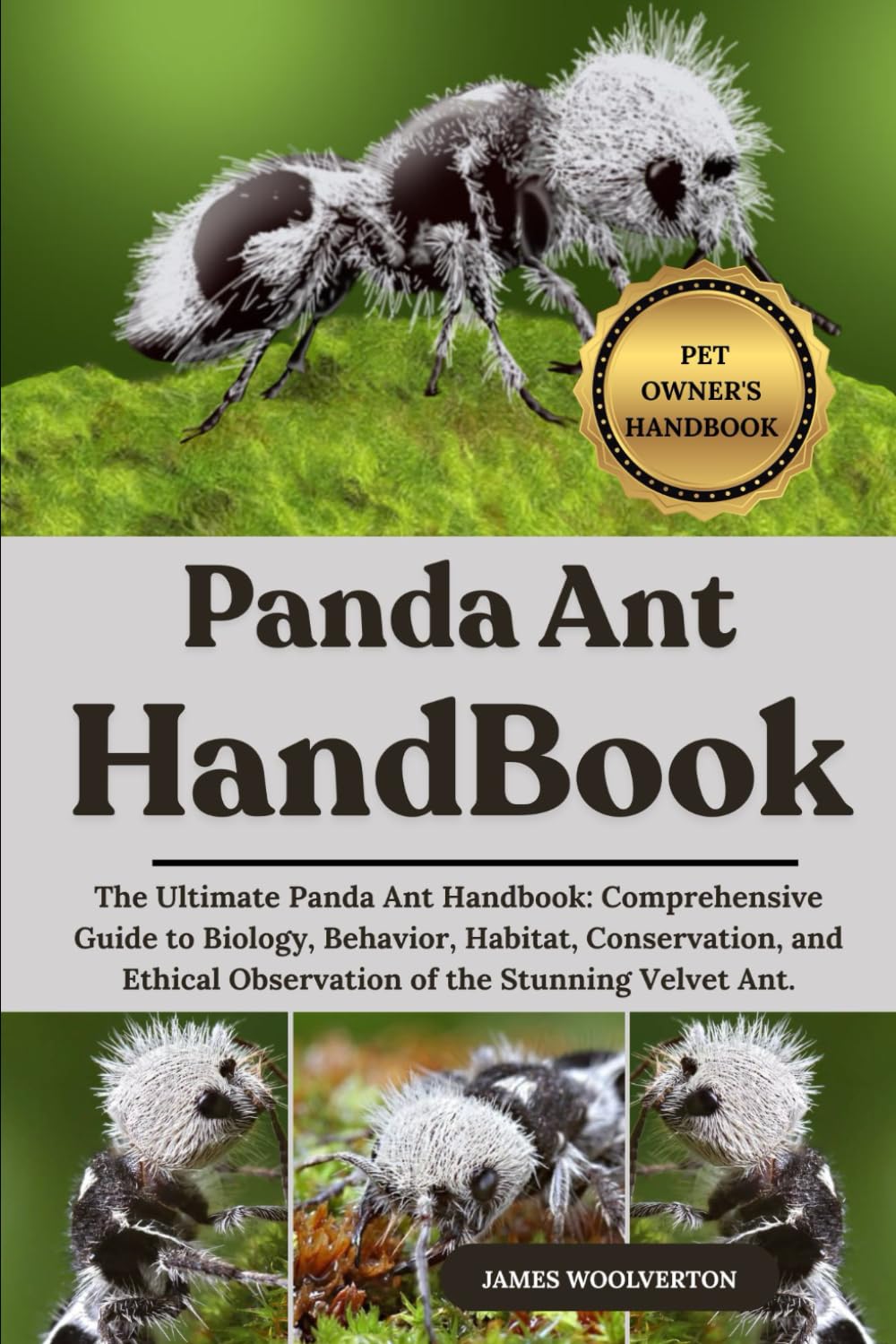 PANDA ANT HANDBOOK: The Ultimate Panda Ant Handbook: Comprehensive Guide to Biology, Behavior, Habitat, Conservation, and Ethical Observation of the Stunning Velvet Ant.