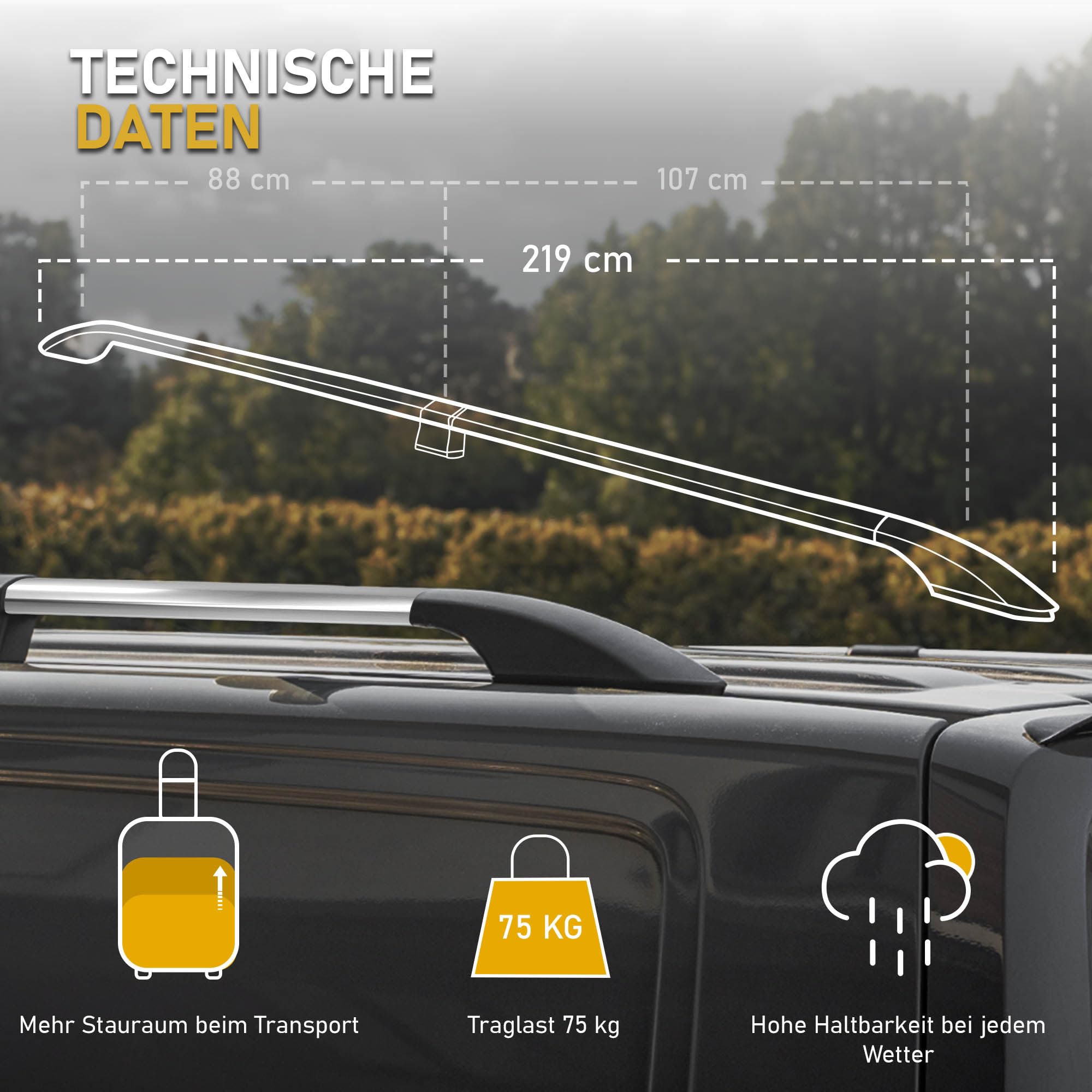 CHROMEMASTER | Dachrelinge Dachträger Kompatibel mit Ford Transit Custom L1 KURZ 2023+; Geeignet zur Montage von Dachträgern, Dachboxen und Fahrradträgern | Einfache und Schnelle Montage | Aluminium