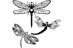 Moxweyeni Rustic Dragonfly Decorations for Home, Bedroom, and Outdoor