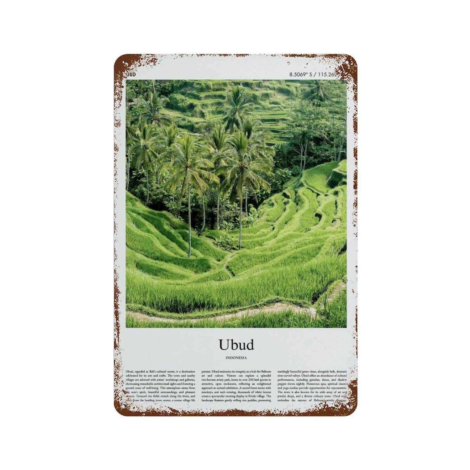 xiaoxiaoshen Ubud Indonesia City Scenery Wall Decor Art Metal Tin Poster Modern Home Decor Art Home Bar Shop Decorations Vintage Sign 30x20cm
