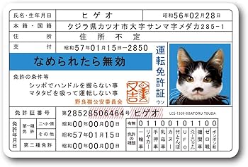 Amazon.co.jp: なめ猫 免許証03 ヒゲオ キャラクターステッカー 懐かし