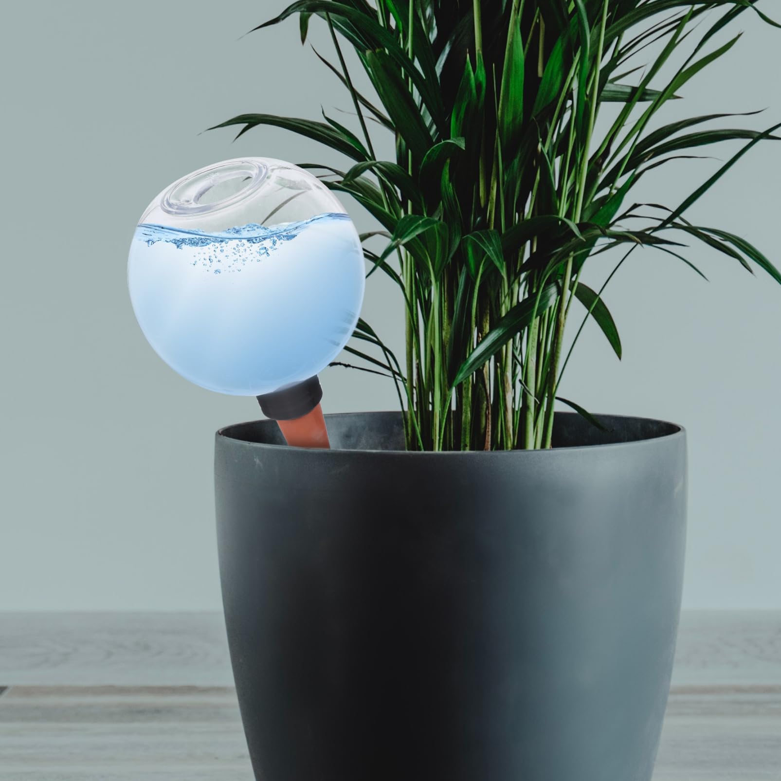 Hemobllo 4 Pezzi Globale Irrigazione Automatica per Piante Gocciolatore Decorativo Autoirrigazione per Piante da e Esterno per Vacanze