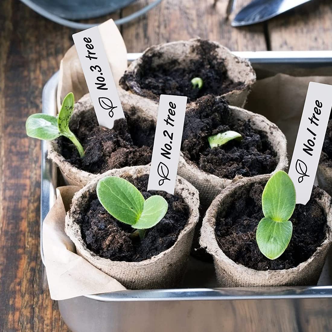 100 Etichette Per Piante Da Giardino In Plastica Con Pennarello - Cartellini Per Fiori, Erbe, Orto E Semi, Riutilizzabili